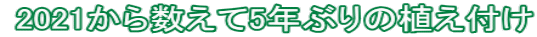  2021琔5NԂ̐At